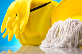 Описание изображения