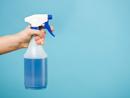 Описание изображения